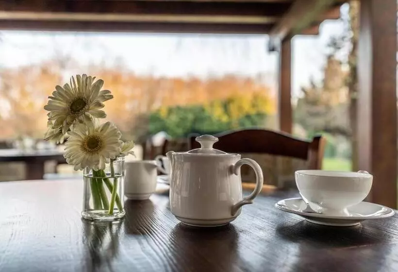 Retkeilymaja Accademia Vine Lodge