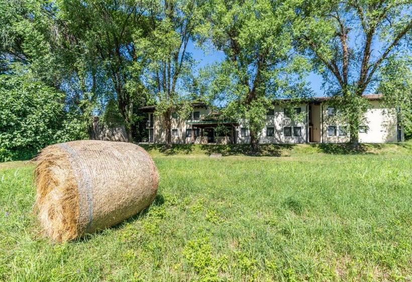 הוסטל Accademia Vine Lodge