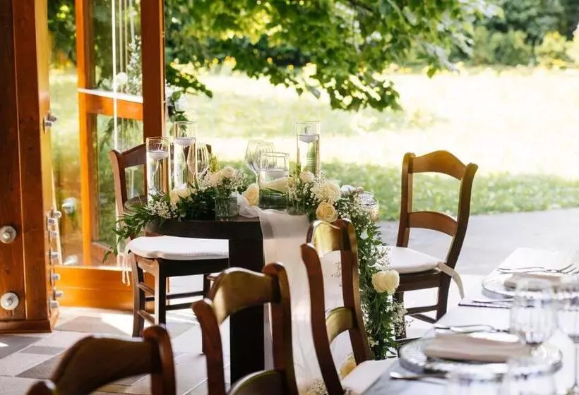 Retkeilymaja Accademia Vine Lodge