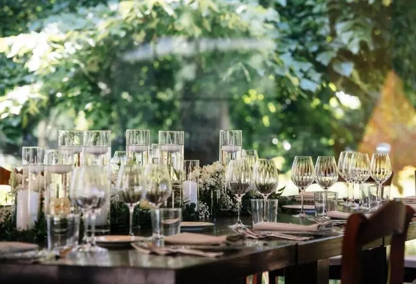 Retkeilymaja Accademia Vine Lodge