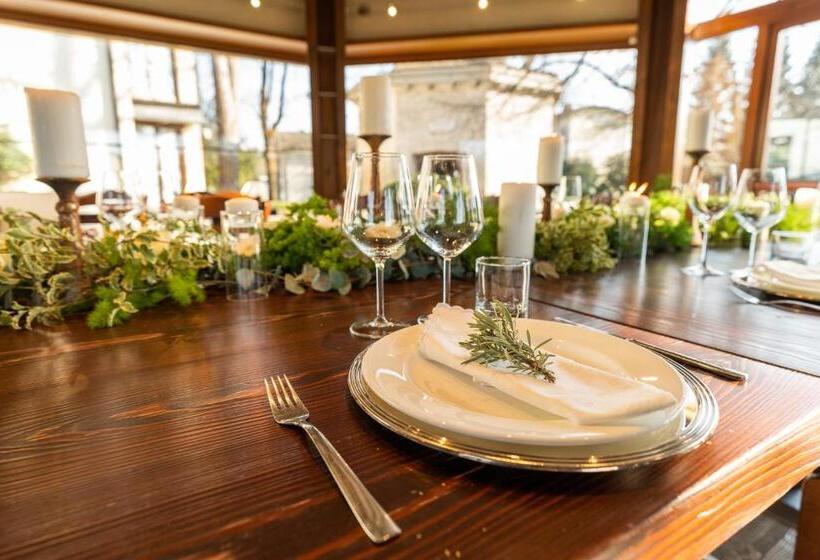 הוסטל Accademia Vine Lodge