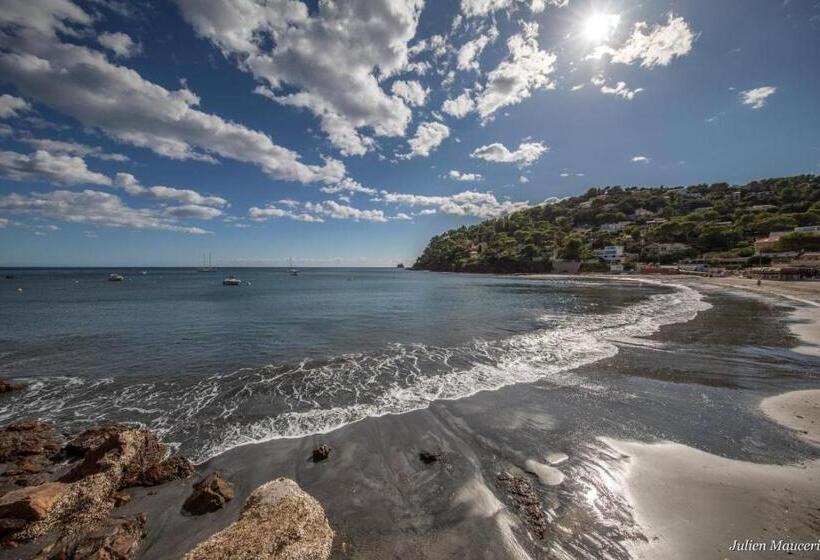 酒店 Suite Morning Star