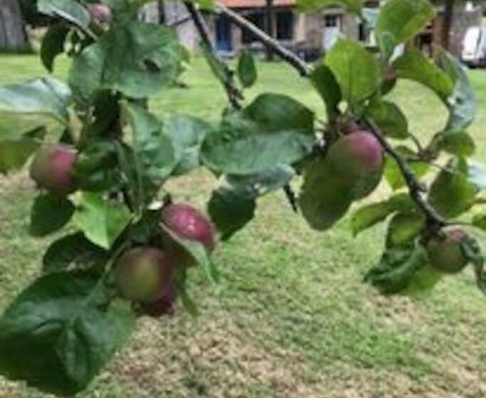 住宿加早餐  Ferme De Noyes