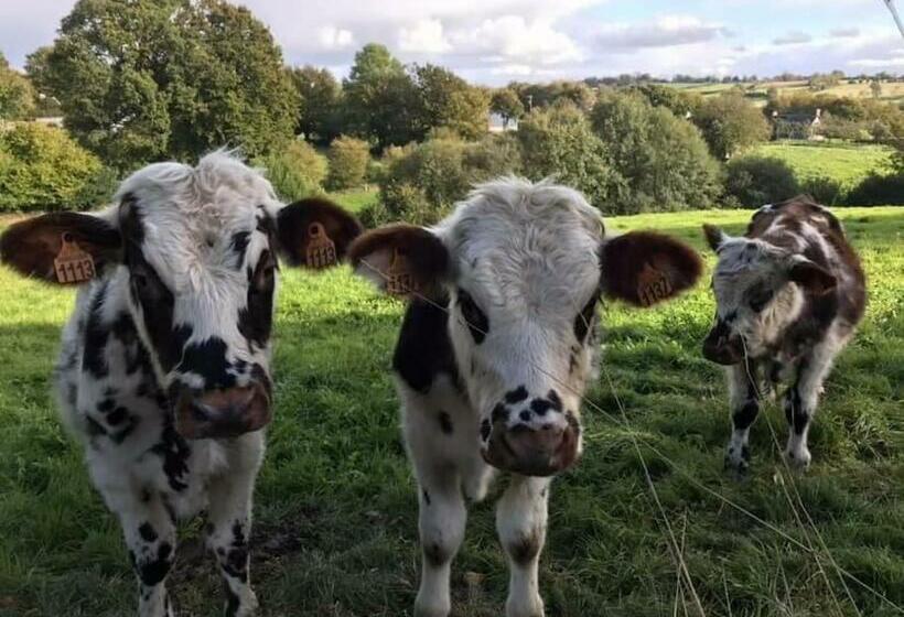 住宿加早餐  Ferme De Noyes