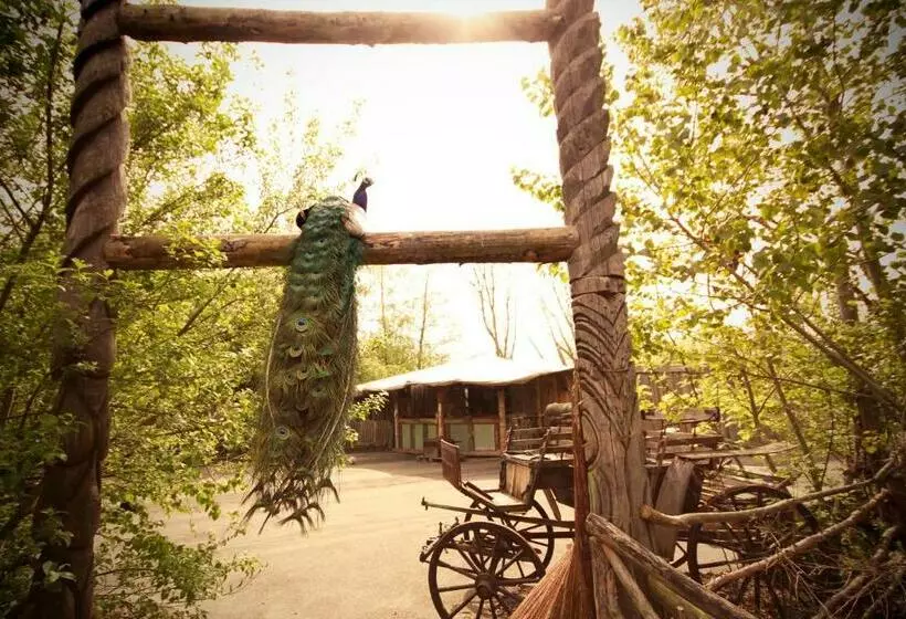 تختخواب و صبحانه Bamboo Lodge Groningen
