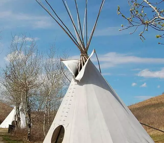 تختخواب و صبحانه Bamboo Lodge Groningen