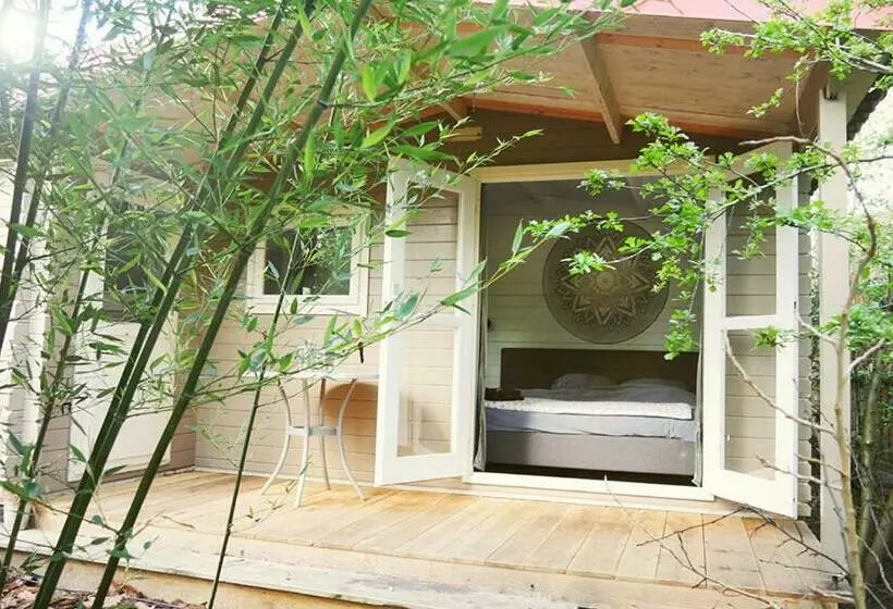 تختخواب و صبحانه Bamboo Lodge Groningen
