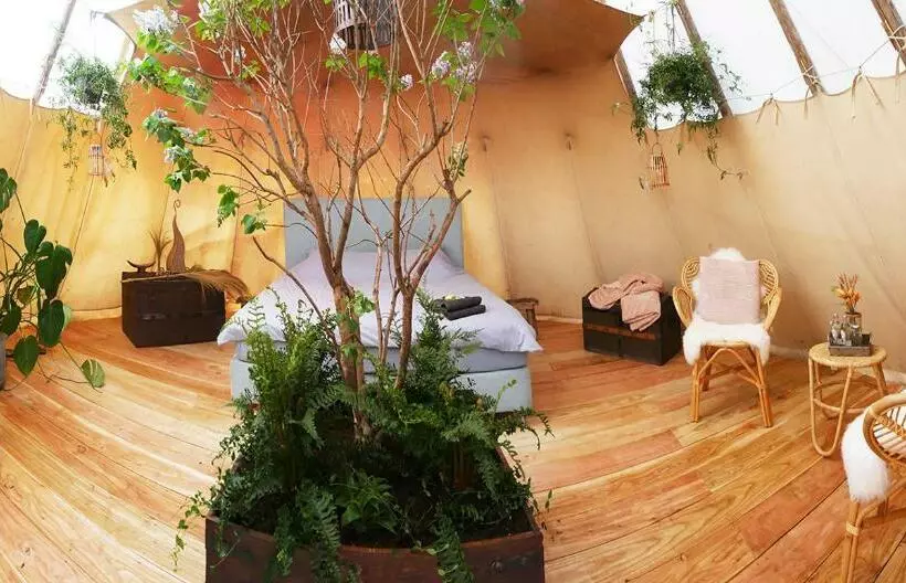 تختخواب و صبحانه Bamboo Lodge Groningen
