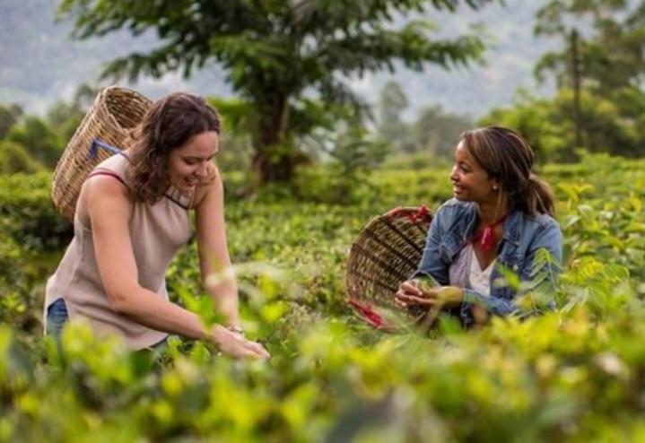 Pensão New Green Leaf Resort