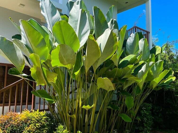 Red Picnic Hostel Panglao