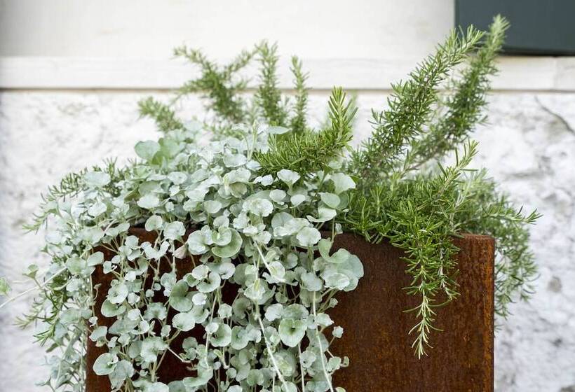 Bed And Breakfast Canalgrande