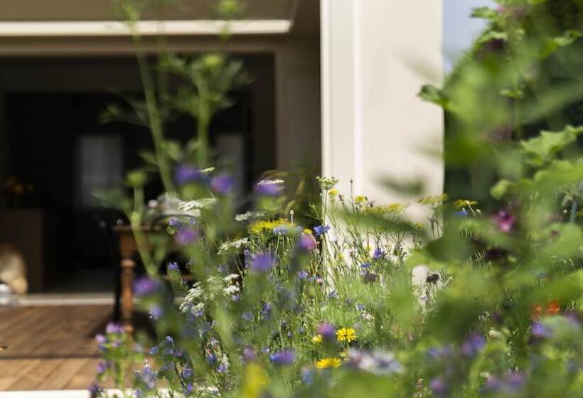 Bed And Breakfast Canalgrande