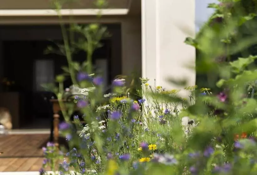 Bed And Breakfast Canalgrande