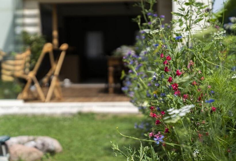 Bed And Breakfast Canalgrande