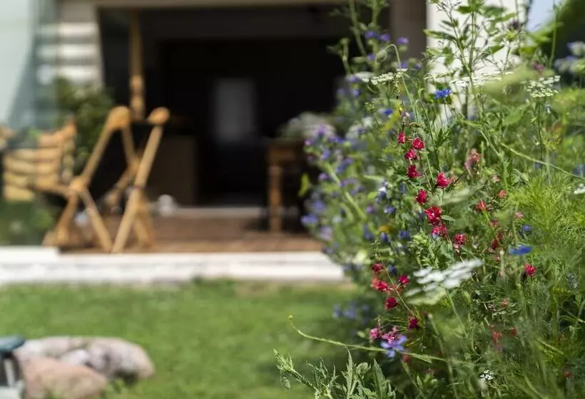 Bed And Breakfast Canalgrande