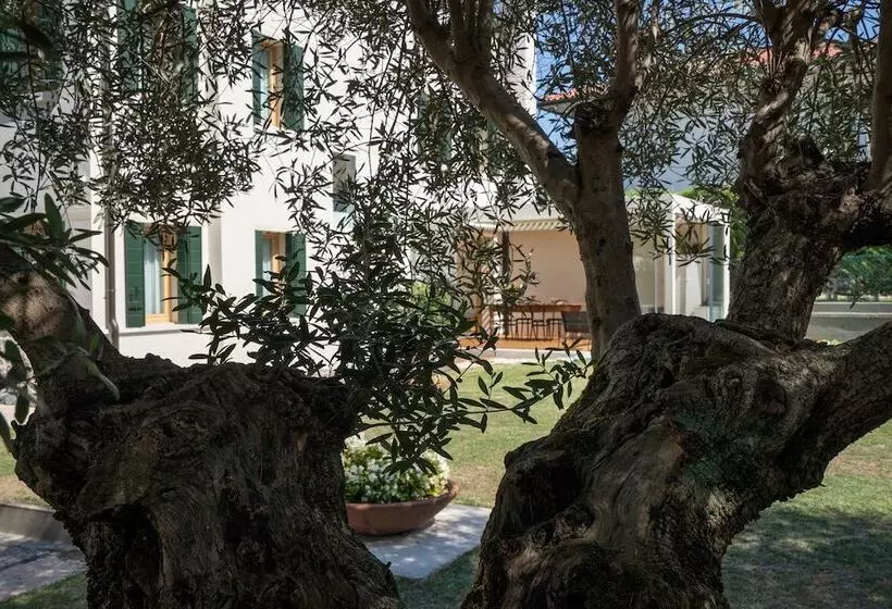 Bed And Breakfast Canalgrande