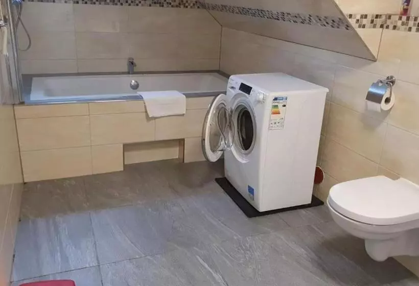 Pension Bad Soden / Apartment And Rooms