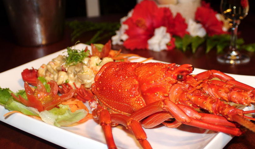 Coral Quays Fish And Dive Resort