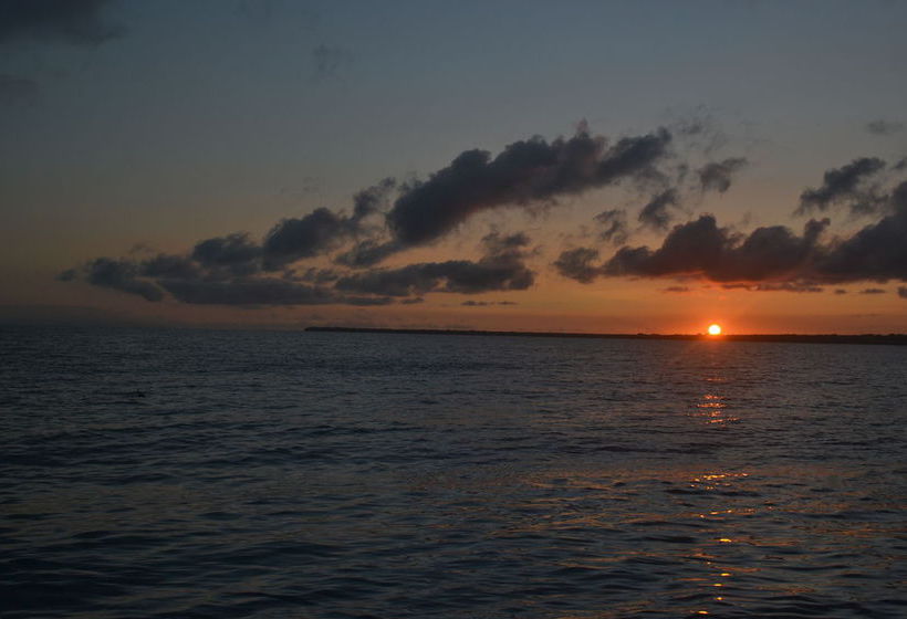 Coral Quays Fish And Dive Resort