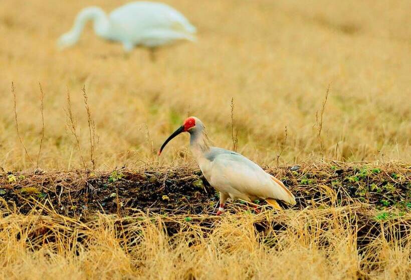 Apa Hotel Niigata Higashinakadori