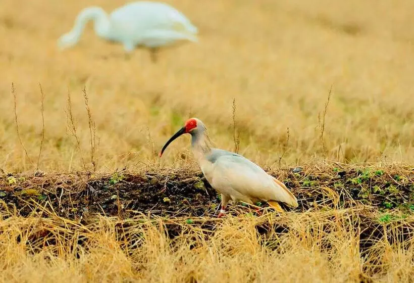 Apa Hotel Niigata Higashinakadori