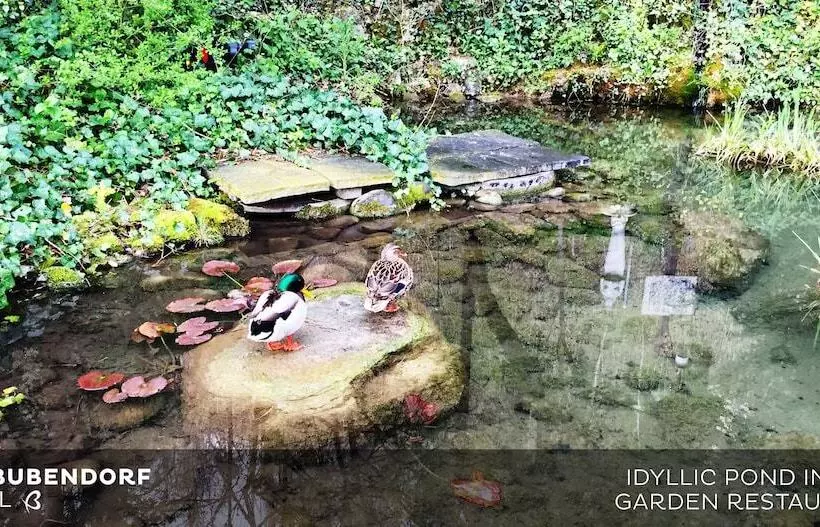 Отель Bad Bubendorf