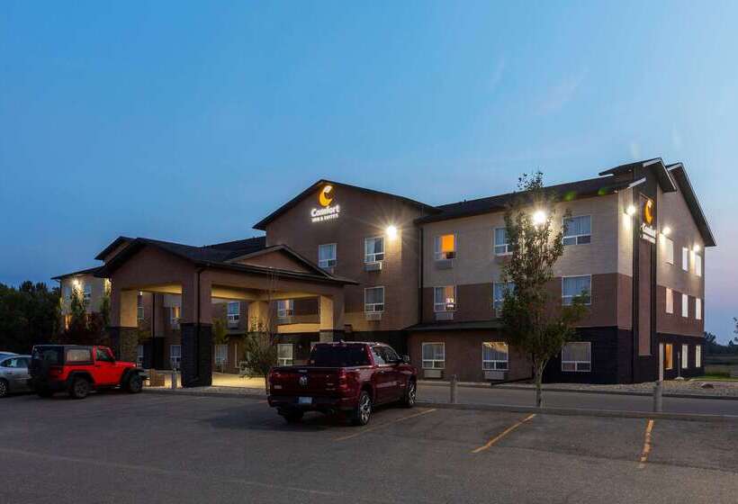 호텔 Comfort Inn & Suites