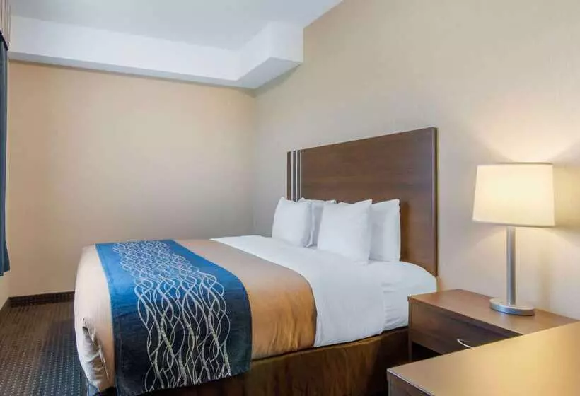 Hotel Comfort Inn & Suites