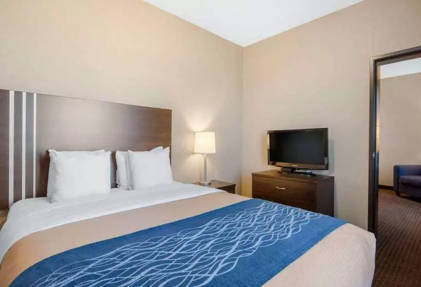 Hotel Comfort Inn & Suites