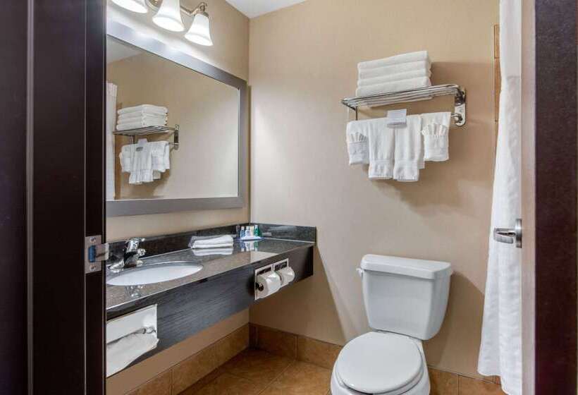 호텔 Comfort Inn & Suites