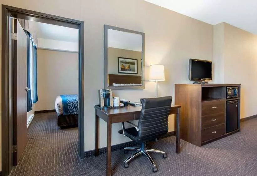 Hotel Comfort Inn & Suites