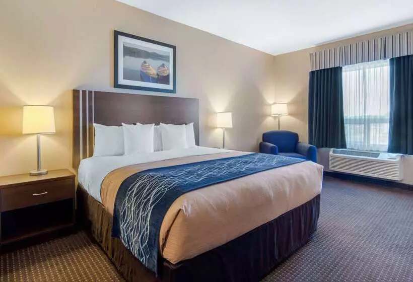 Hotel Comfort Inn & Suites