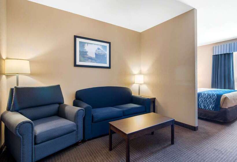 호텔 Comfort Inn & Suites