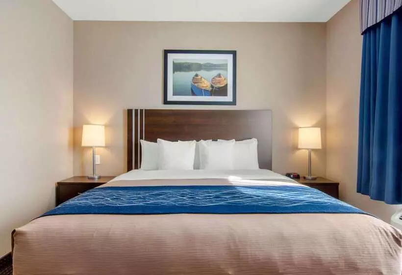 Hotel Comfort Inn & Suites