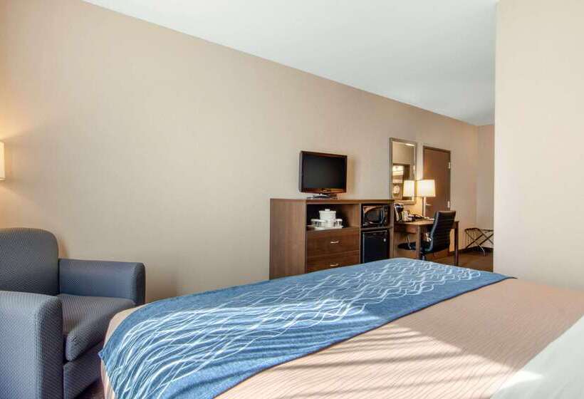 호텔 Comfort Inn & Suites