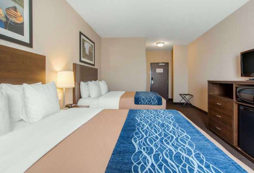 호텔 Comfort Inn & Suites