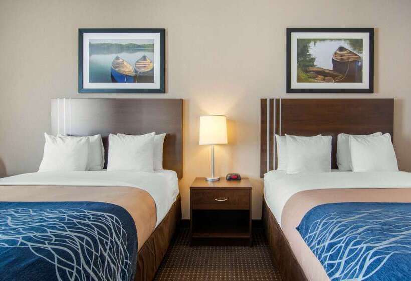 호텔 Comfort Inn & Suites