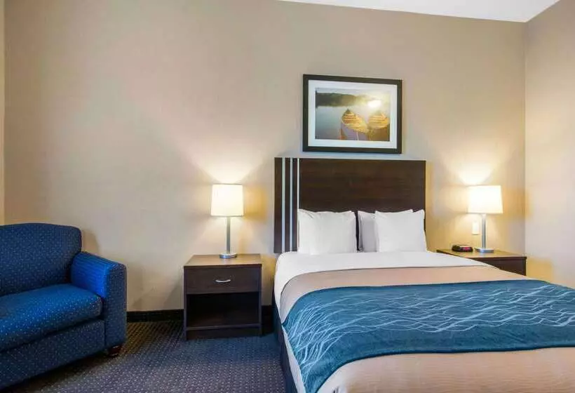 Hotel Comfort Inn & Suites