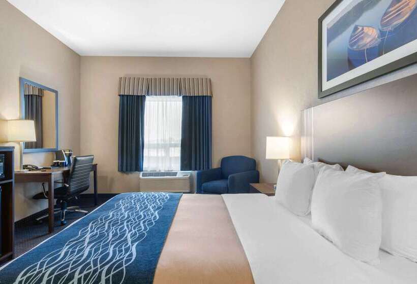 호텔 Comfort Inn & Suites