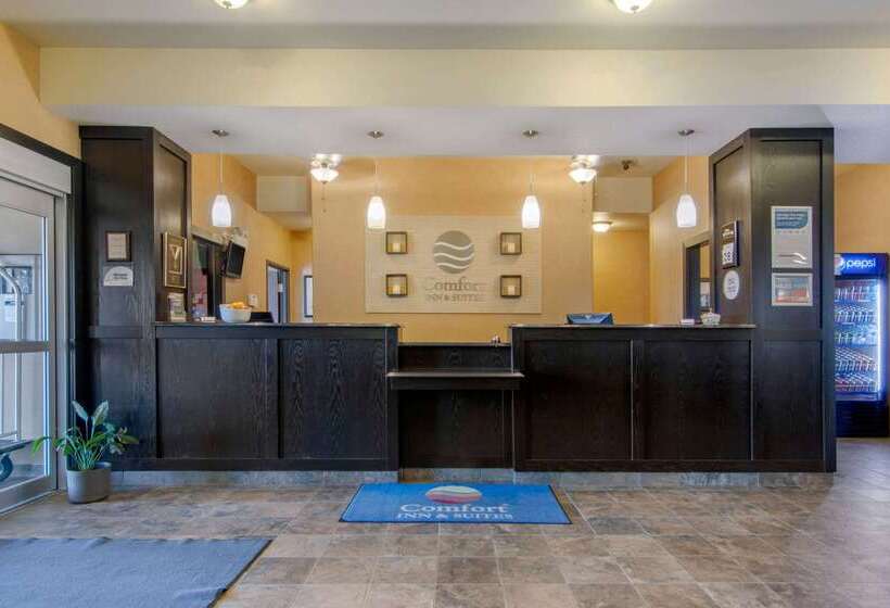 호텔 Comfort Inn & Suites