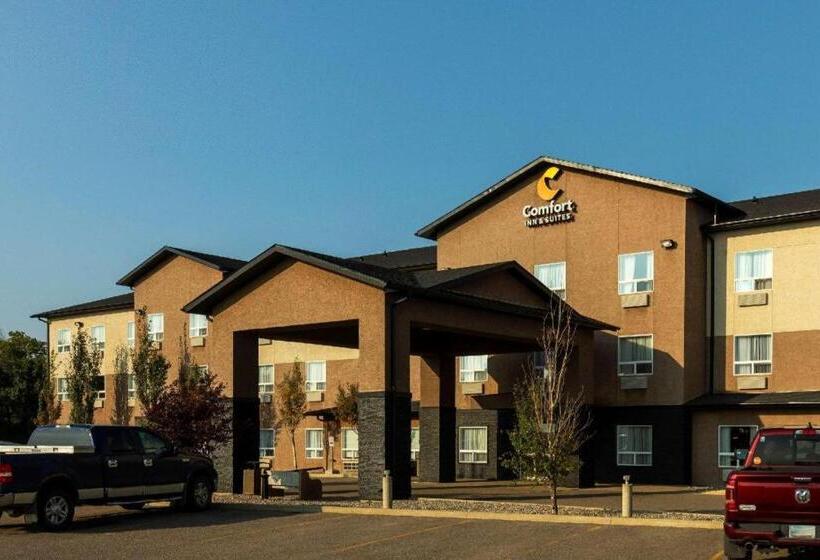 호텔 Comfort Inn & Suites