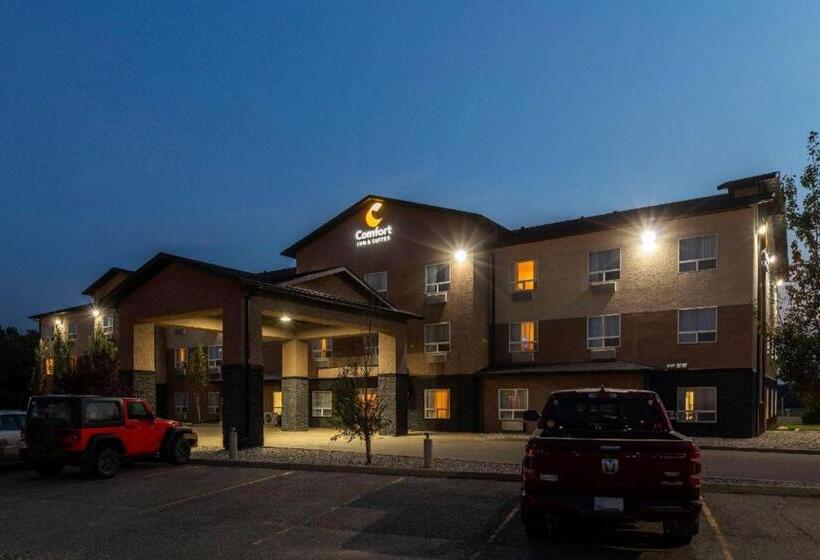 호텔 Comfort Inn & Suites