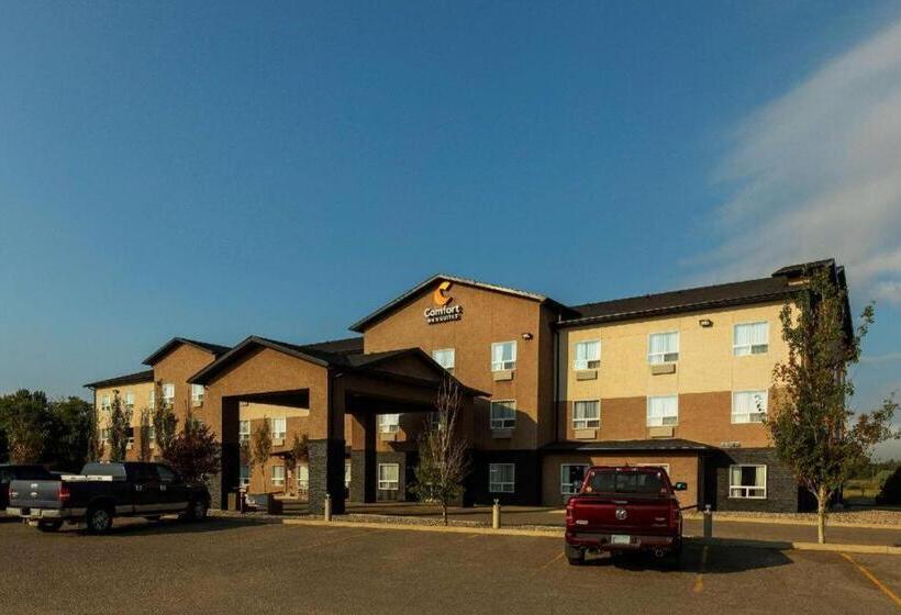 호텔 Comfort Inn & Suites