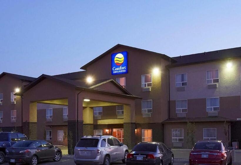 호텔 Comfort Inn & Suites