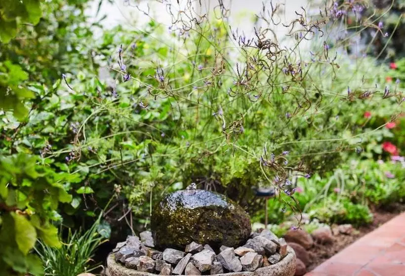 هتل Meikes Guesthouse