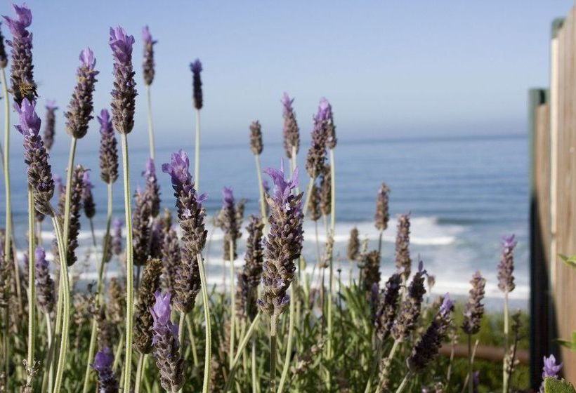 בית מלון כפרי Mes Amis Beach Guest House