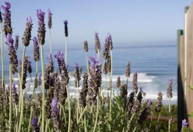 בית מלון כפרי Mes Amis Beach Guest House