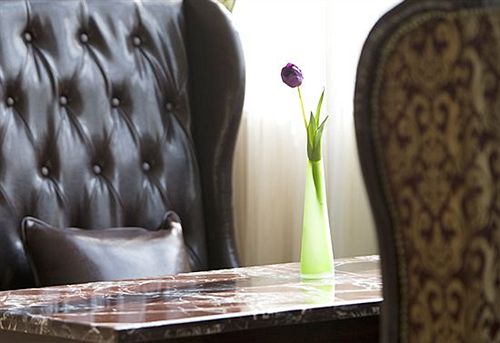 בית מלון כפרי Treasure Island