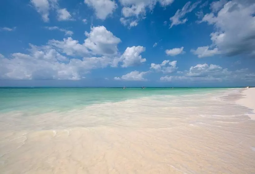 Next Paradise Boutique Resort