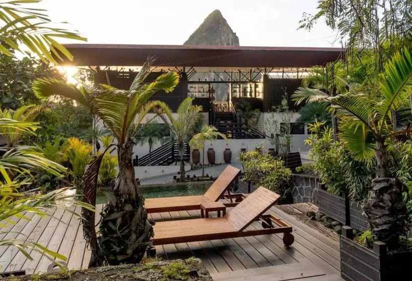 Rabot Hotel From Hotel Chocolat